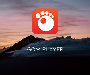 gom music player for mac